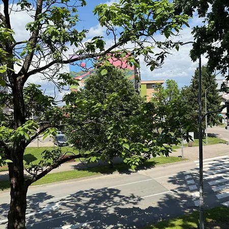 Stari Hrast *