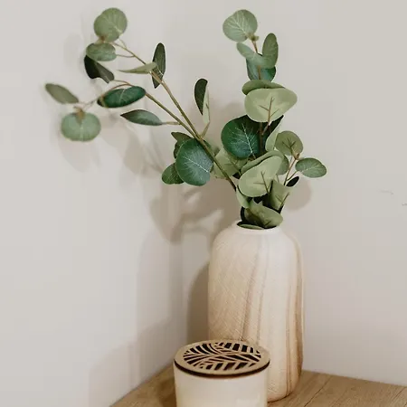 Stari Hrast Bosanska Gradiska